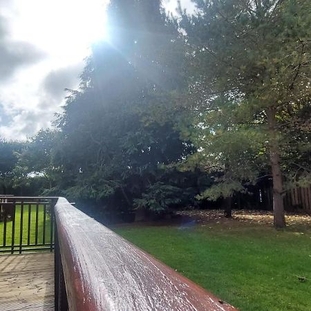 Elegantly Refurbed 2Bd In Shankill - 3Km From Bray Dublin Eksteriør billede